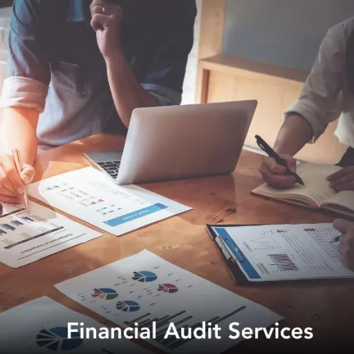 Financial Audit Services in UAE